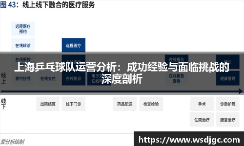 上海乒乓球队运营分析：成功经验与面临挑战的深度剖析