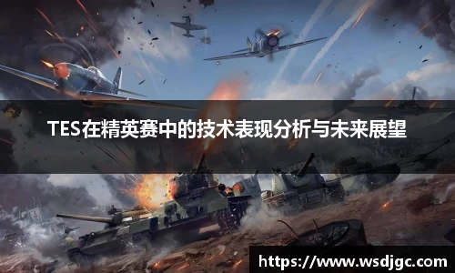 TES在精英赛中的技术表现分析与未来展望