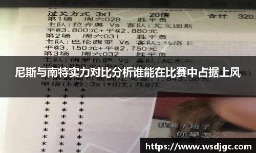 尼斯与南特实力对比分析谁能在比赛中占据上风